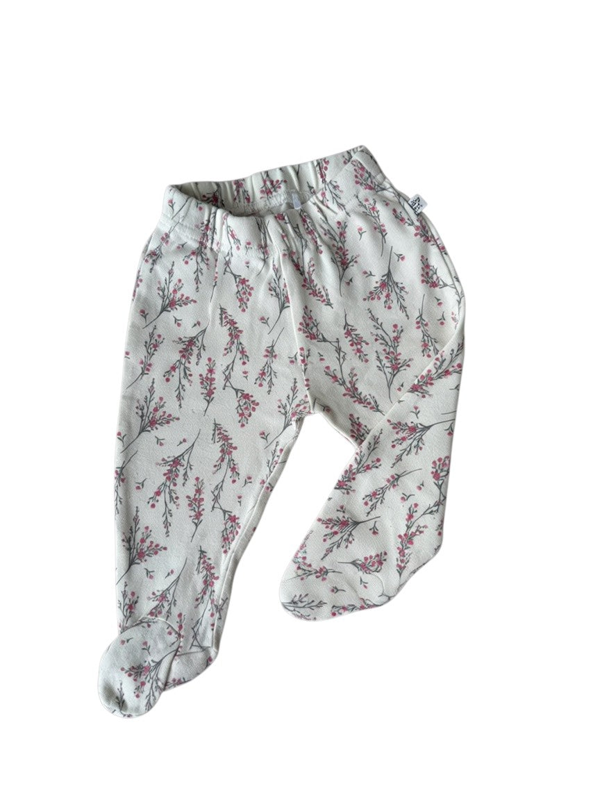 Panty